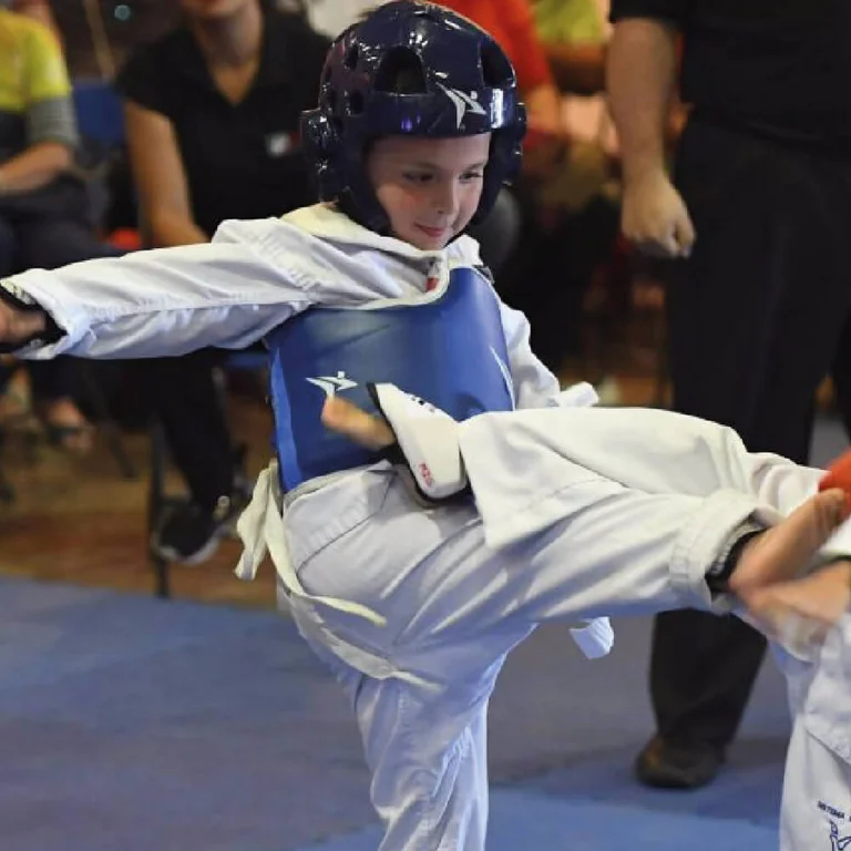 Taekwondo