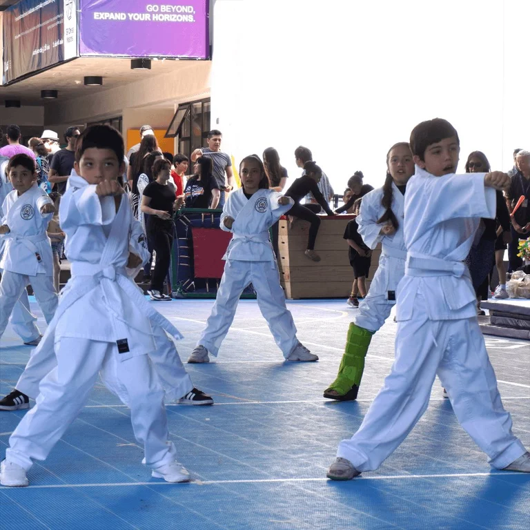 Taekwondo